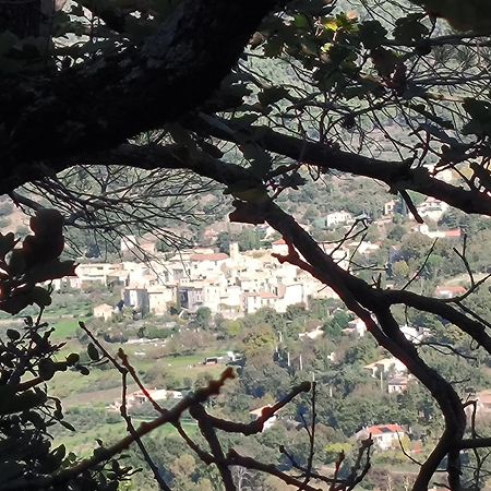A L'Oree Des Oliviers Venterol  Bagian luar foto