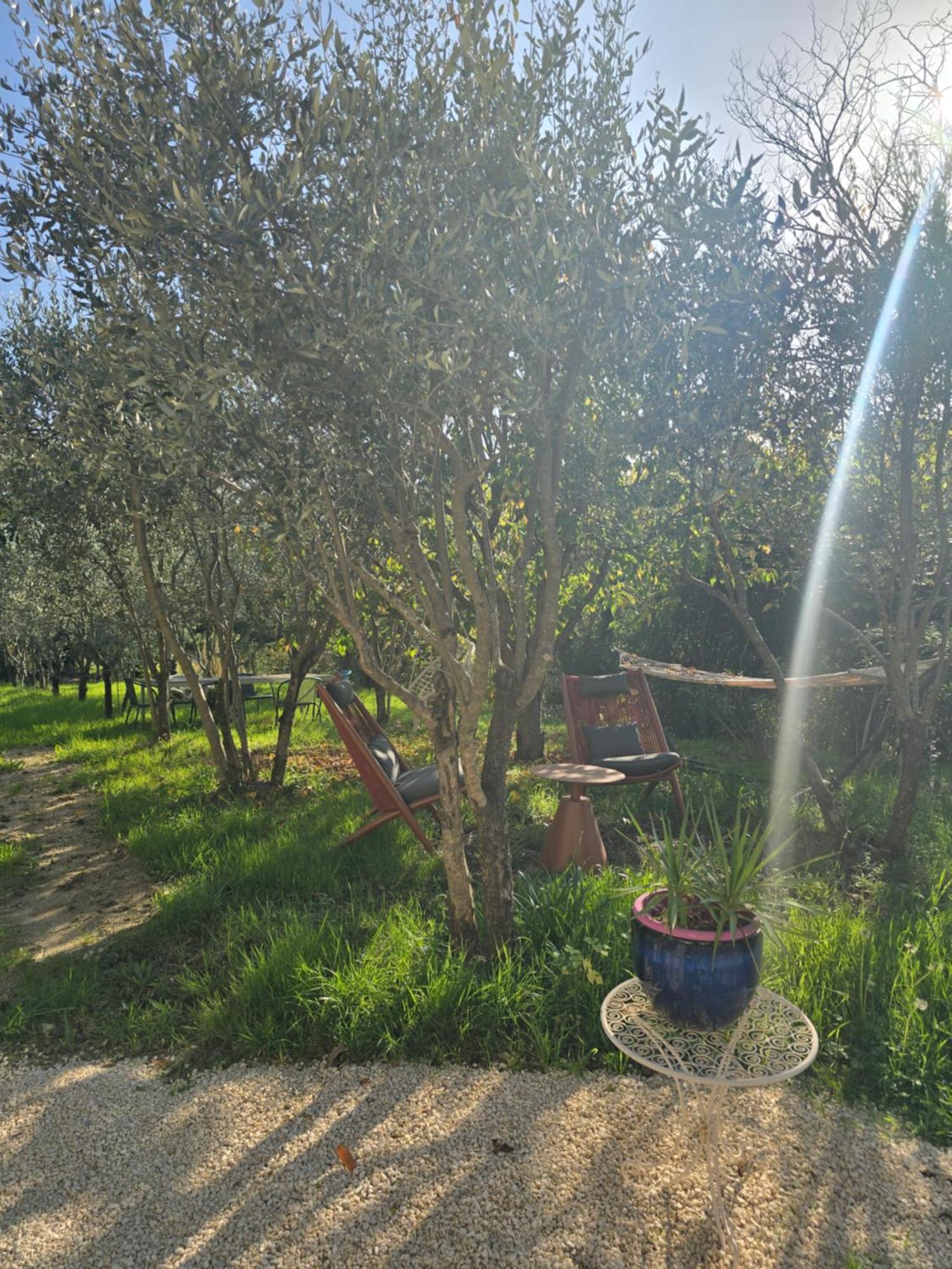 A L'Oree Des Oliviers Venterol  Bagian luar foto