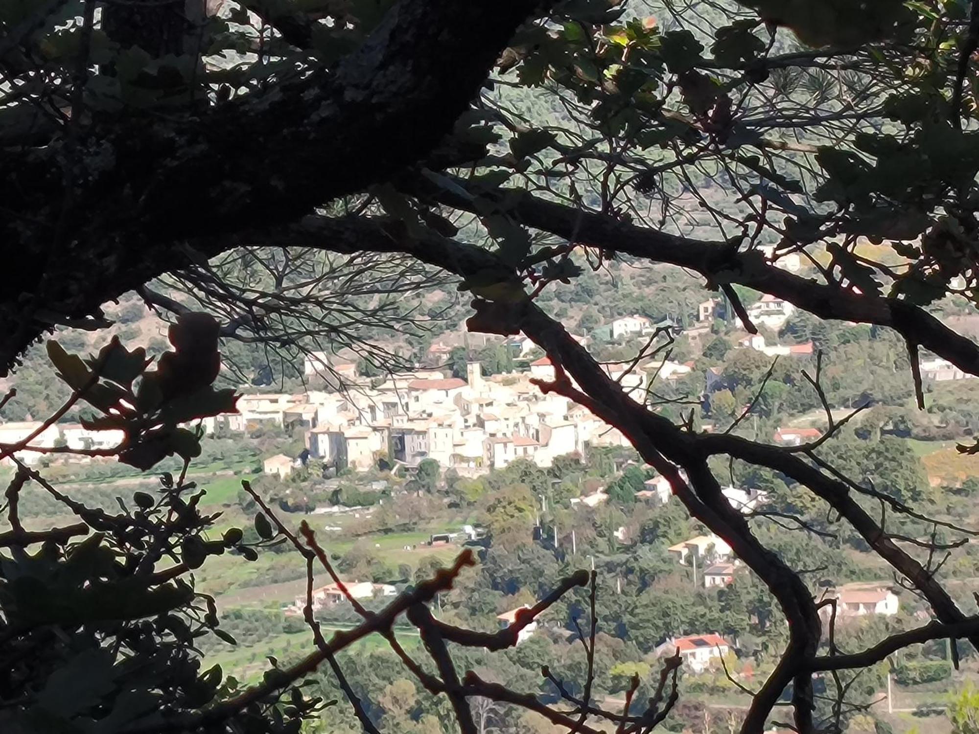 A L'Oree Des Oliviers Venterol  Bagian luar foto