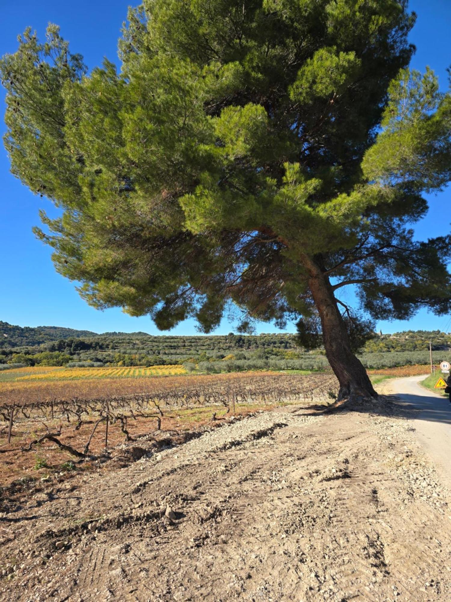 A L'Oree Des Oliviers Venterol  Bagian luar foto